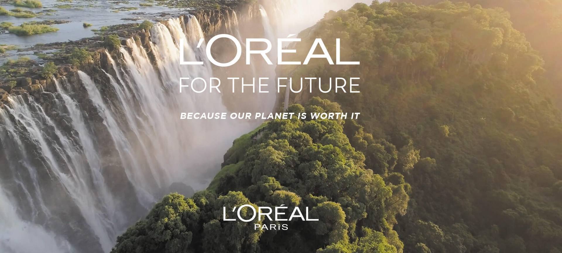 Plant Is Worth It HERO