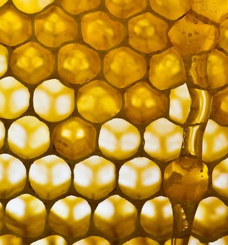 探索蜂王漿對肌膚的功效(文章)