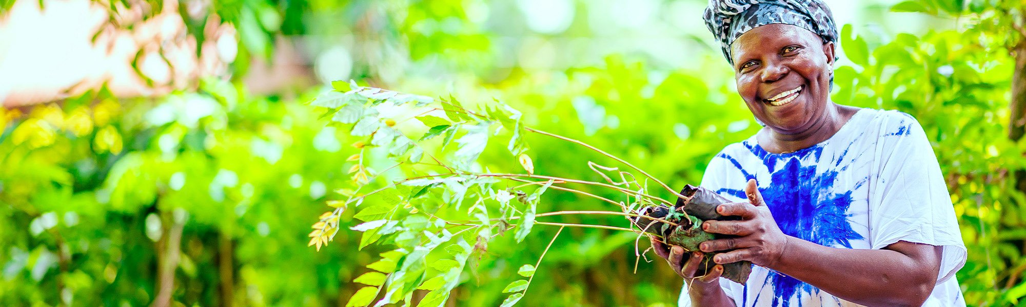 Visuel 01 Hero Visual V2